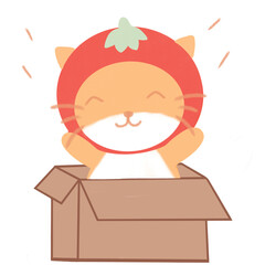 Tomato Cat Cute 
