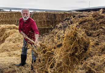 Farmer working and cleaning barn of manure