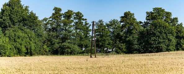 linia elektryczna idąca drogą polną, błękit nieba lekko pochmurna pogoda w tle, pora letnia - obrazy, fototapety, plakaty