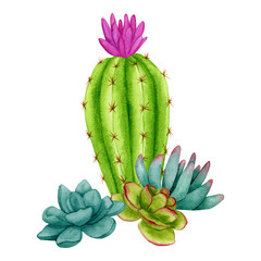 Watercolor composition of cacti and succulents. Colorful hand drawn border for cards, posters, announcement, stationery, logos, advertising and more.
