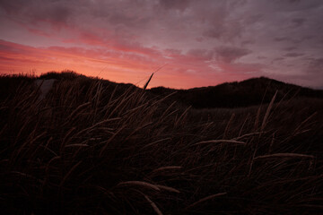 landscape and sunset at the beach of denmark with dune and grass