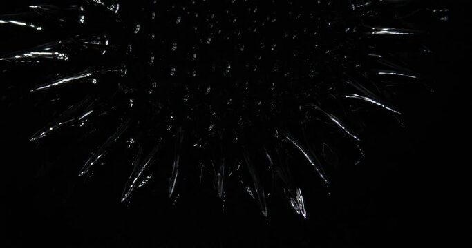 Magnetic fluid. Ferrofluid. Black liquid surface. Abstract background. Natural phenomenon of magnetism ferro fluidic substances under the action of a neodymium magnet can create really impressive 