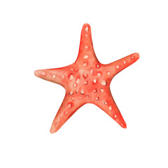 Watercolour hand drawn red starfish isolated on white background. Marine underwater design element. Summer sea clipart