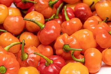 Set of collected pepper berries
