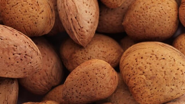 apricot kernel , rotation in circle. dried apricot kernels with nut ,Turning. selective focus.  