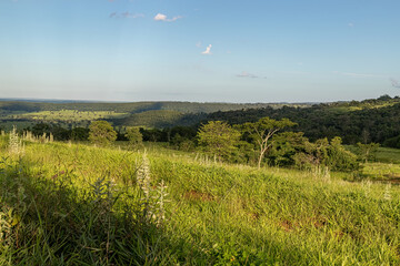 Pasture field for cattle raising