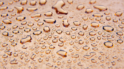 Drops of water on a colored background. Abstract texture