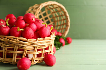 Wicker basket with fresh radish on green wooden background