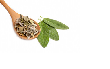 Salvia Officinalis (Green sage tea) on the white background