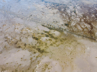 Swamp's natural patterns blend in a mesmerizing display of water