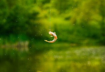 On a fisherman. Sports fishing