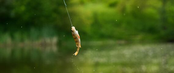fly fishing on the lake