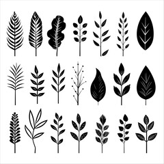 Artistic vector depiction of hand drawn leaves in various shapes and sizes - obrazy, fototapety, plakaty