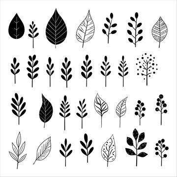 Vector artwork featuring a diverse collection of hand drawn leaves