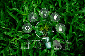 Green Energy help reduce global warming. Net zero in 2050 year. Natural background light bulb on...