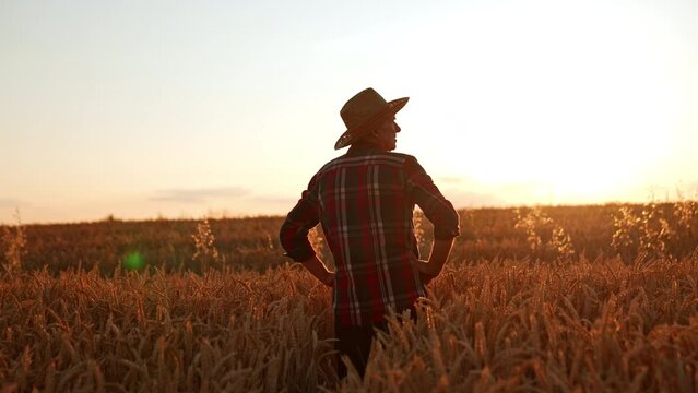 Male farmer in a hat stands in the field with his hands on the hips. Man looks at beautiful farmland at sunset.