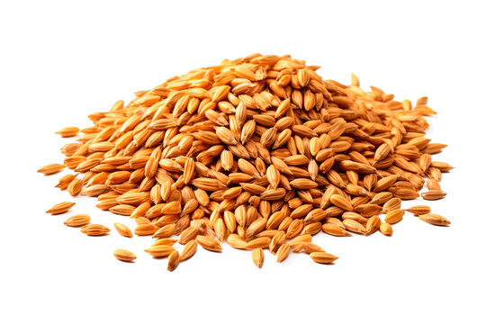 Beer malt grains on isolated transparent background
