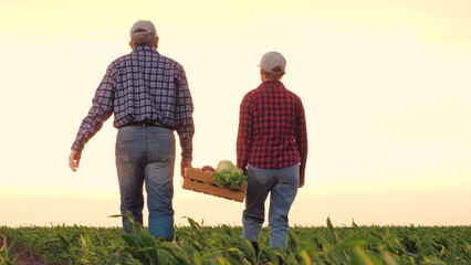 joint family business sun, two farmers carry box vegetables across farm field sunset, farming...