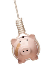 Piggy Bank with a Bandage on His Face Hanging in a Hangman Noose Isolated - Transparent PNG.