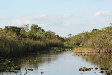 Everglades