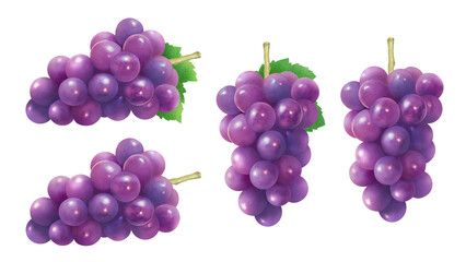 ジューシーなブドウと葉の水彩イラストのセット。新鮮なフルーツの背景。