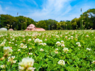 緑あふれる辰巳の森緑道公園　タコ遊具が可愛らしい！