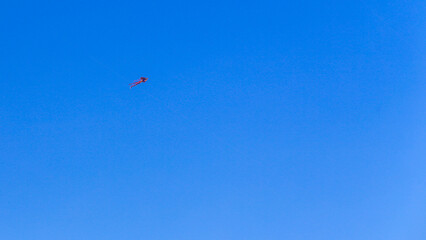 Kites are flying on a clear blue sky on an afternoon in Ho Chi Minh City