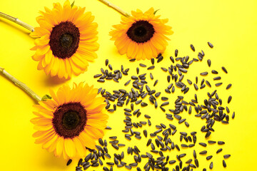 Obraz premium Sunflowers with seeds on yellow background