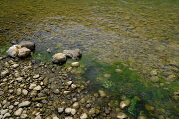rocky river with clear water, on the banks of the river there are rocks with green moss. riverbanks in the tropics in the dry season.