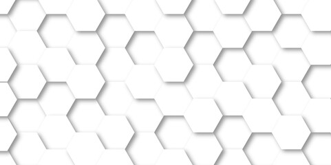 Fototapeta premium Background with white and black lines 3d Hexagonal structure futuristic white background and Embossed Hexagon , honeycomb white Background ,light and shadow ,Vector.