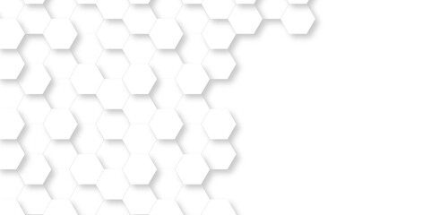 	
Background with white and black lines 3d Hexagonal structure futuristic white background and Embossed Hexagon , honeycomb white Background ,light and shadow ,Vector.
