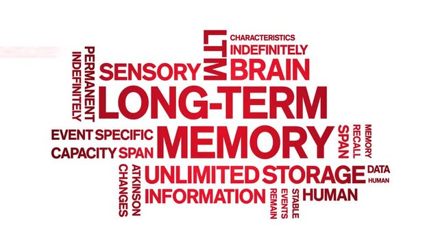 Long-Term Memory animated tag word cloud;text design animation kinetic typography seamless loop.