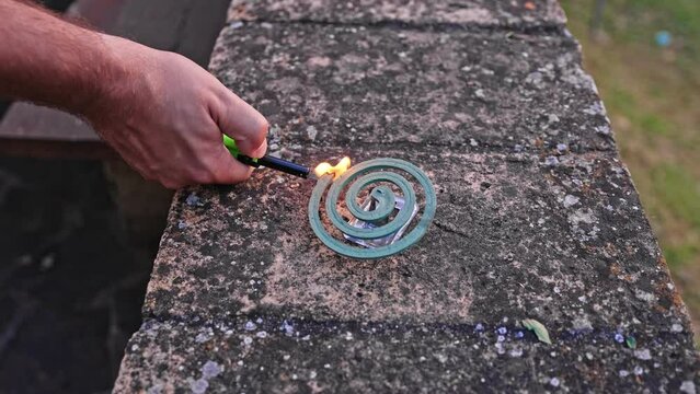 Caucasian Male Lighting Up Mosquito Repellent Coils Incense
