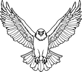 Handdrawn eagle drawing outline