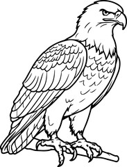 Fototapeta premium Handdrawn eagle drawing outline