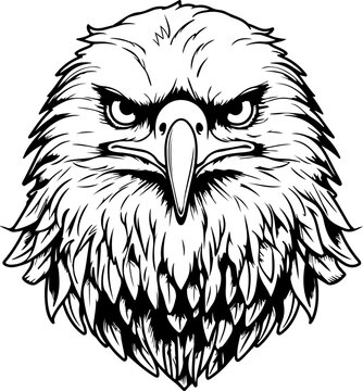 recommend clip art: Handdrawn eagle drawing outline