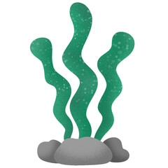 green seaweed Super cute painted with watercolors. used as an illustration © Saifon