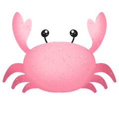 red crab cartoon Super cute painted with watercolors. used as an illustration