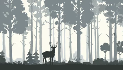 Crédence de cuisine en verre imprimé Blanche Silhouettes of morning forest with deer. Nature landscape vector background with forest wildlife scene. Pine trees in fog, deer, elk or reindeer stag with antlers, woodland plants and grass meadow