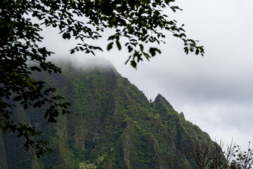 morning in the mountains