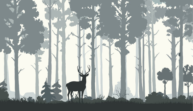 Silhouettes of morning forest with deer. Nature landscape vector background with forest wildlife scene. Pine trees in fog, deer, elk or reindeer stag with antlers, woodland plants and grass meadow