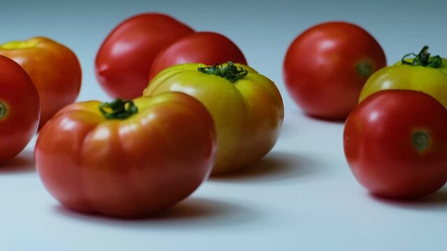Rotating Tomatos in different colors and soft light from the left side and white background