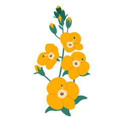 Drawing of yellow flowers with leaves and bud without background