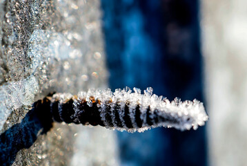 ice crystals on a rusty self-tapping screw illuminated by the morning sun