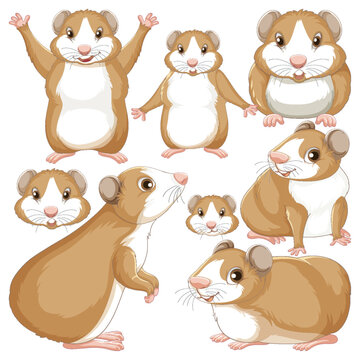 Set of guinea pig cartoon character with head and facial expression
