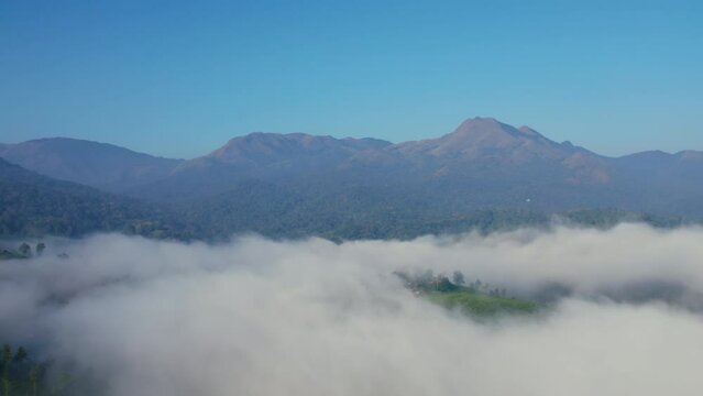 Wayanad-Chembra Peak-Hill station-Clouds-Mountains-Tea Plantation-Aerial view