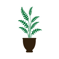 Houseplant in flower pot illustration. Green sprout of household plant icon, vector isolated on white background