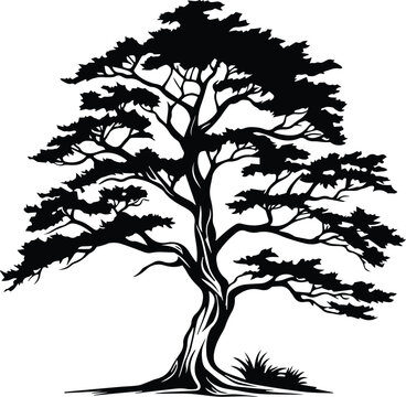 Cedar tree Logo Monochrome Design Style