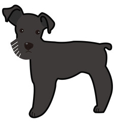 シュナウザー（黒）