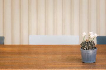 blooming cactus pot on wooden table